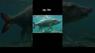 Download lagu Pig - Fish mp3