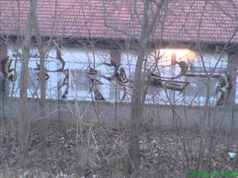 CNN - listen Here 2005