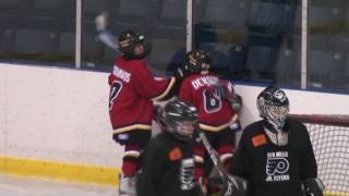 preview picture of video 'KC Goal 20090214 Leaside Flames Gold 1997 Select Minor Peewee 2008-09 Season'