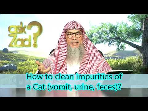 How to clean impurities of a Cat vomit, urine, feces? assimalhakeem -JAL