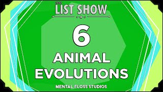 6 Strange Animal Evolutions | Mental Floss