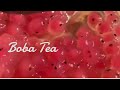 Dragon Fruit Boba Tea