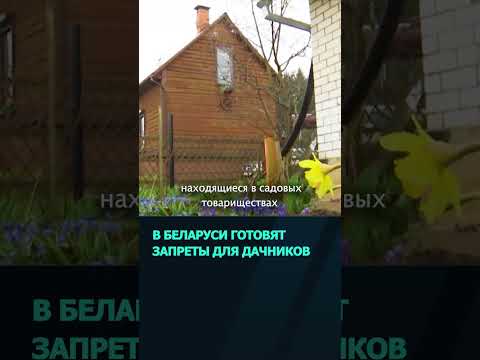 Минэкономики обсуждает новые запреты для садоводческих товариществ