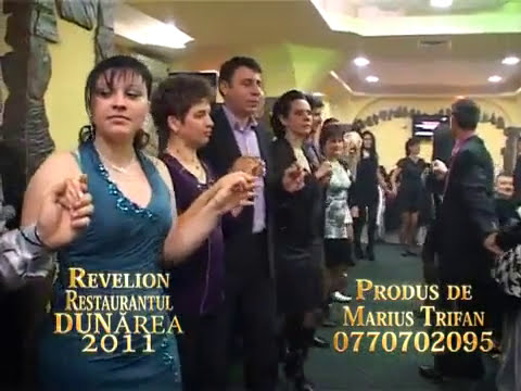 Lucian Cojocaru 2011 - Revelion Dunarea 2011 01 Se duc anii tineretii