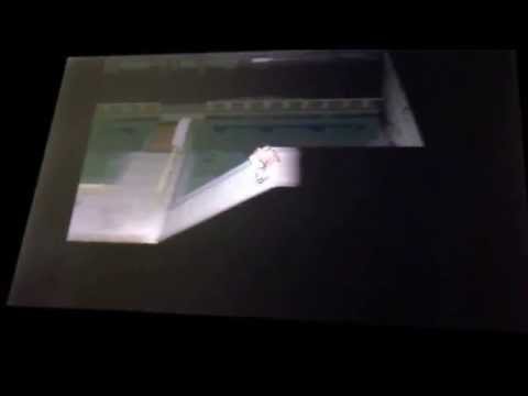 Guida per catturare un eevee in pokemon 2 nero