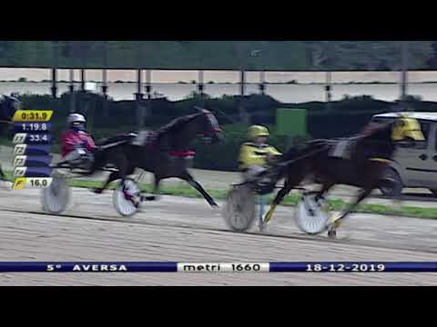Aversa trotto 18 Dicembre 2019 - 5° Corsa