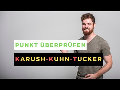 Check Karush-Kuhn-Tucker (KKT) point