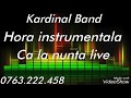 Kardinal Band Hora Instrumentala Live Ca La Nunta