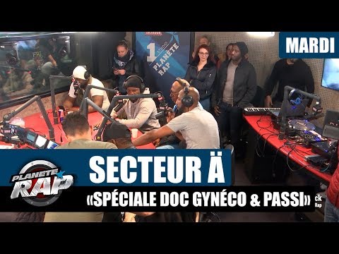 Planète Rap - Secteur Ä "Spéciale Doc Gynéco & Passi" #Mardi