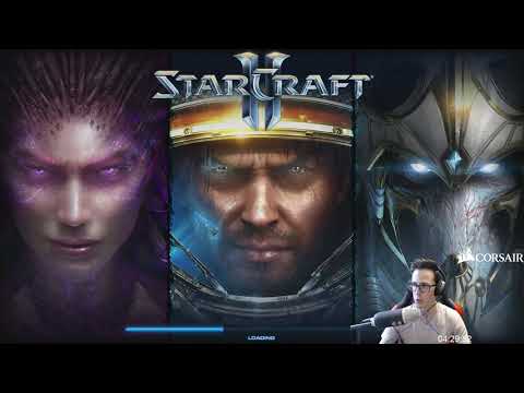 StarCraft 2 - ZvT Coaching gold/plat - fundamentals and general tips