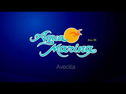 Agua Marina Avecilla