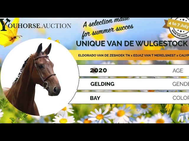 Unique van de Wulgestock homevideo