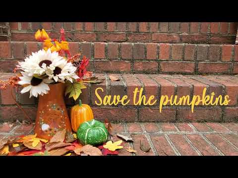 Episode VI: "Love Under the Olive Tree"