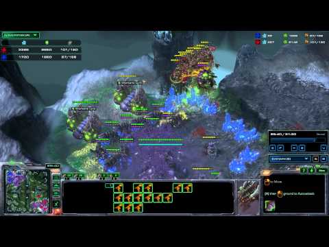 Fungal Growth on Muta pack