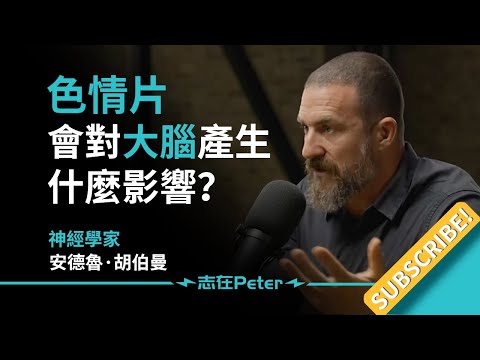 色情片會對大腦產生怎樣的影響？--神經學家 安德魯-胡伯曼博士 Andrew Huberman (色情片會對大腦產生怎樣的影響？——神經學家 安德魯·胡伯曼 Dr Andrew Huberman)