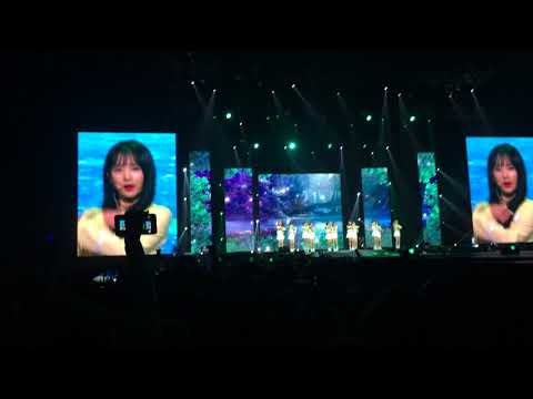 {Fancam} Kcon Australia Cosmic Girls Secret