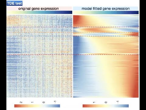 A Statistical Framework for Differential Pseudotime Analysis of Single cell RNA-seq Samples
