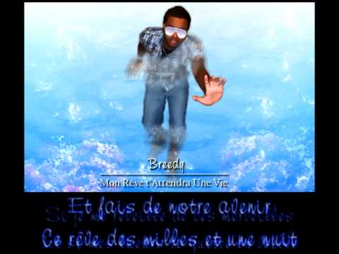 Breedy - Mon Rêve t'Attendra Une Vie - 2o1o