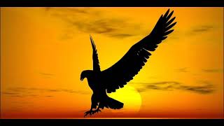 Porta - estados/English subtitles