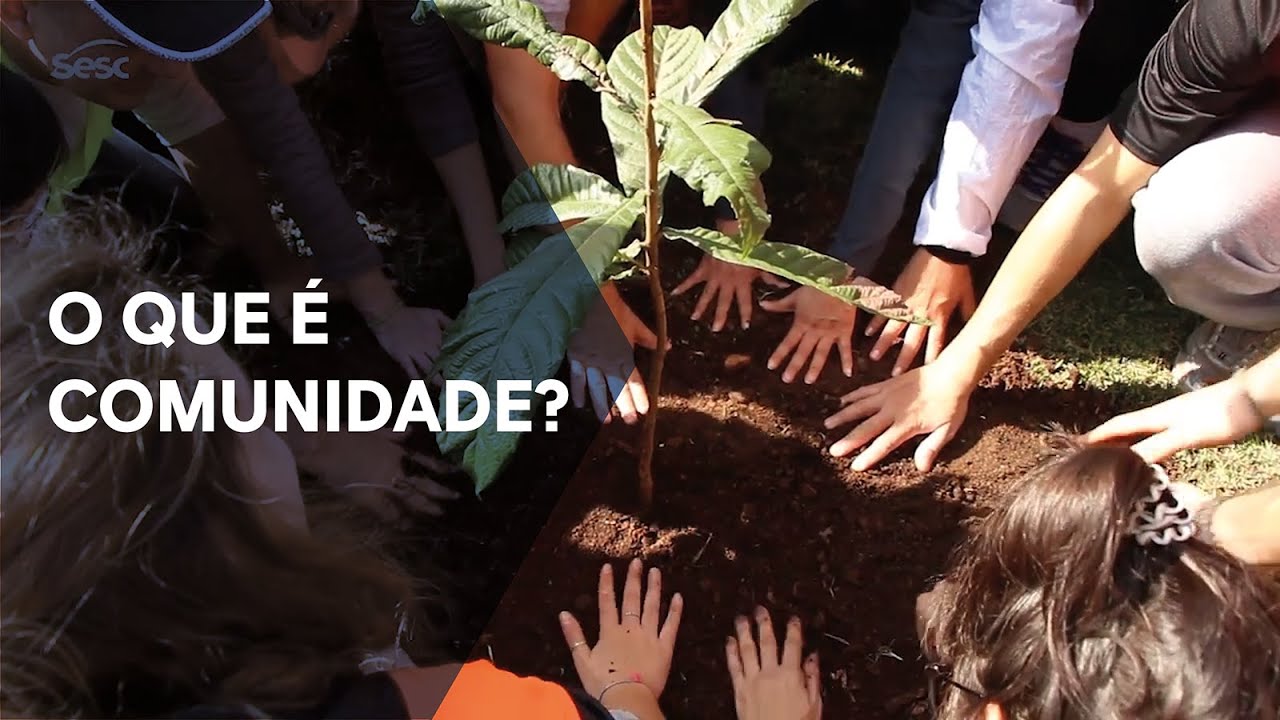 O que é comunidade?