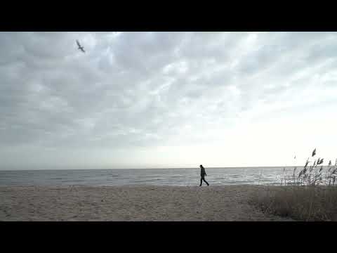 Жевріння. Дерево життя (2022). Teaser 1.