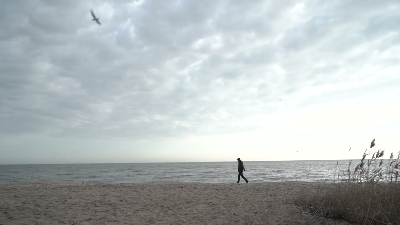 Жевріння. Дерево життя (2022). Teaser 1.