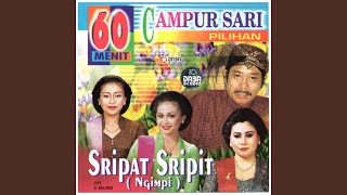 Download lagu Ngimpi Sripat Sripit mp3