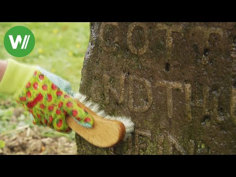 How to care for natural stone!