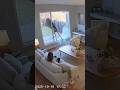Security Cam Captures Wild Deer Crash