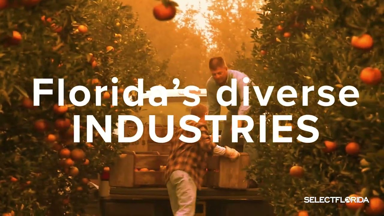 Florida's Diverse Industries