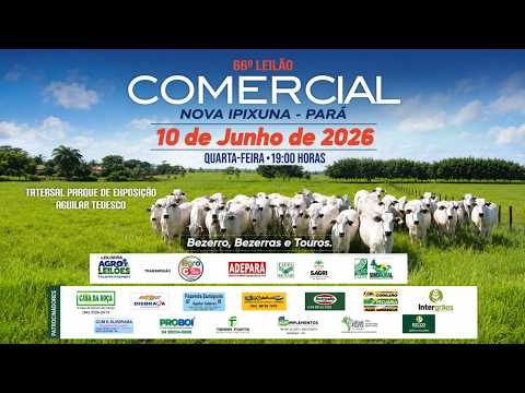 66º LEILÃO COMERCIAL - NOVA IPIXUNA / PA