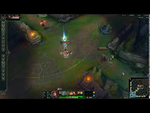 Chinese Ward Hop Insec