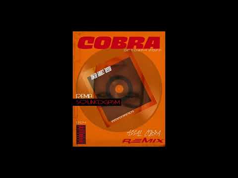 Rema - Soundgasm (ASSAL COBRA REMIX)