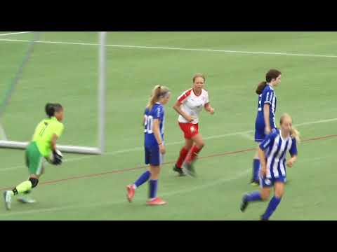 Highlights: G14 B Final: Hossmo BK - Spånga IS FK 4-0 (2-0)