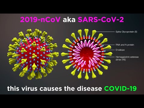 What is COVID-19? (Coronavirus Update)