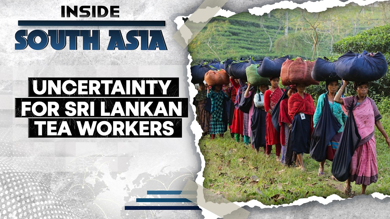 Iran War Hits Sri Lanka’s Tea Industry | Inside South Asia