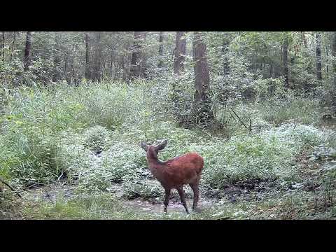 Młode pokolenie 2  - lipiec
