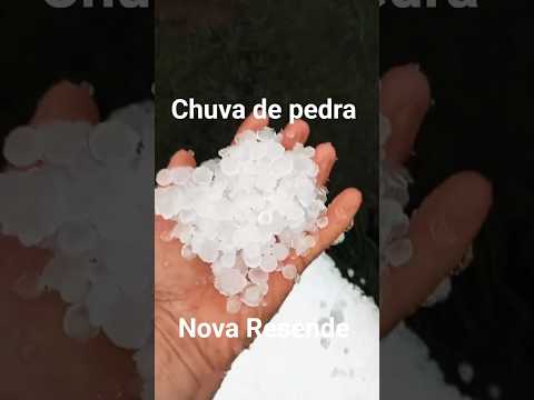 #abacate #agro #fazenda #fruticultura #chuva #chuvadegranizo #viveiro #minasgerais #novaresende