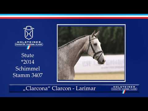Holsteiner Sommerauktion | Nr. 12 - Clarcona v. Clarcon - Larimar