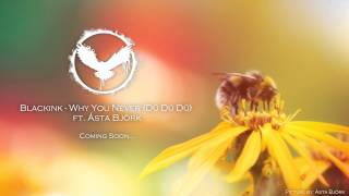 Blackink - Why You Never ft. Lovie Lovetree [PREVIEW]