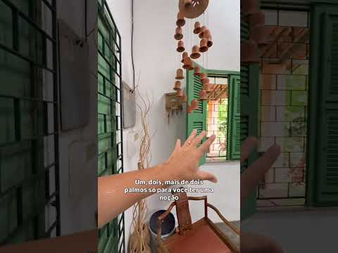 Esse sítio em Aratuba tá barato demais