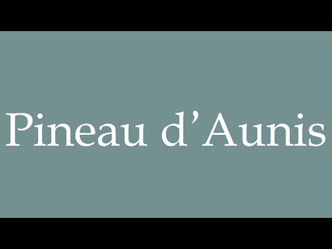 How to Pronounce ''Pineau d'Aunis'' Correctly in French