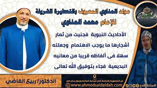 3-الدكتور – ربيع القاضي (مولد المناوي) الفرح و السرور من رؤية ذاته المحمدية  (ساحة الدح )