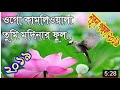 ওগো কামলি ওয়ালা তুমি মদিনার ফুল বাংল�
