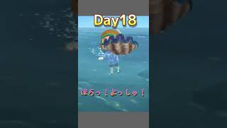 🔵【あつ森】ビックリ😲総額74万ベル💰｜レア海の幸 オオシャコガイ#あつ森