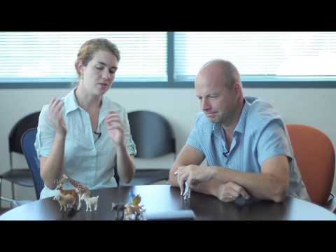 Quiz Intro to Machine Learning