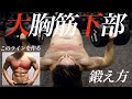 大胸筋下部の鍛え方!ダンベル2種目だけでも十分発達する。中級プログラムを分かりやすくご紹介。