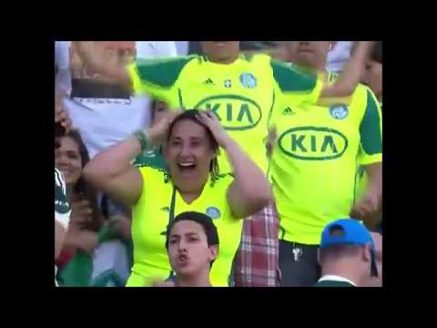 Palmeiras 0x0 São Caetano (26/10/2013) - Brasileiro Série B 2013 (acesso do Palmeiras)