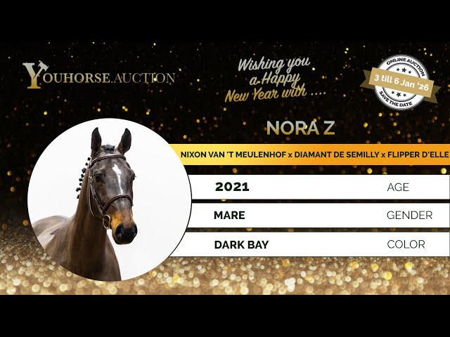 Nora Z homevideo