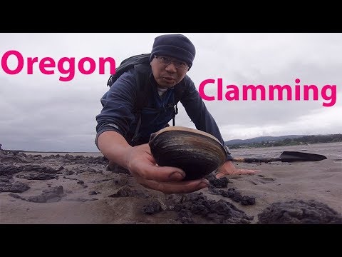 download lagu mp3 mp4 Clamming Oregon, download lagu Clamming Oregon gratis, unduh video klip Clamming Oregon